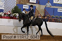 11r12_6043 proof