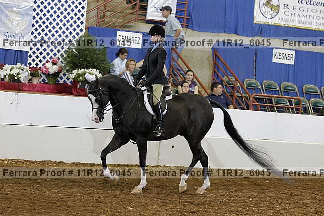 Proof 11r12_6045