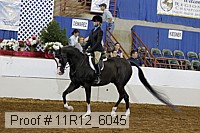 11r12_6045 proof