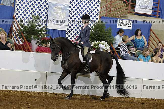 Proof 11r12_6046