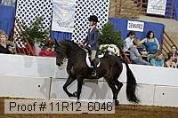 11r12_6046 proof
