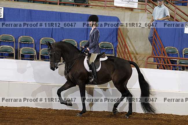 Proof 11r12_6047