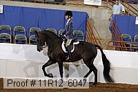 11r12_6047 proof