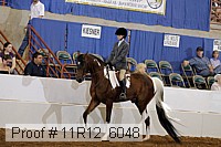 11r12_6048 proof