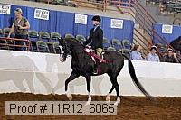11r12_6065 proof