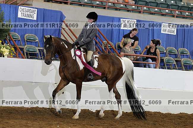 Proof 11r12_6069