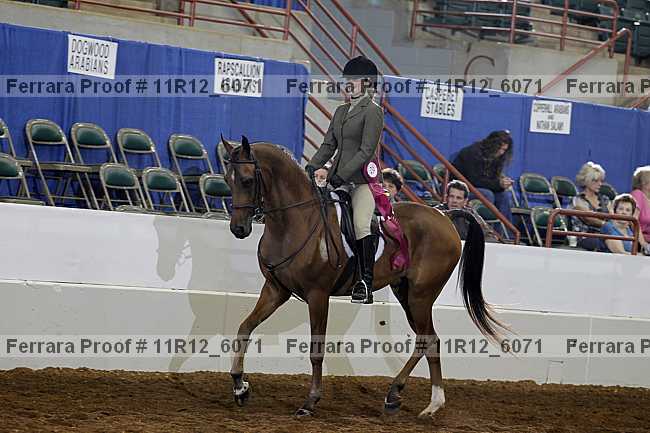 Proof 11r12_6071