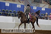 11r12_6071 proof