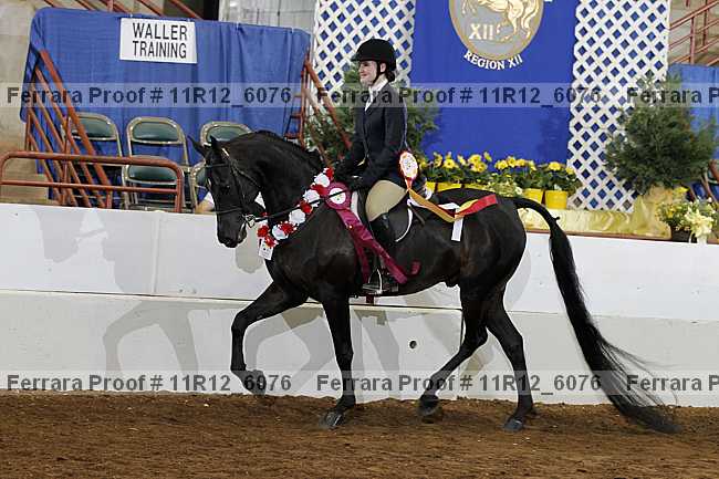 Proof 11r12_6076