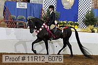 11r12_6076 proof
