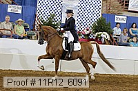 11r12_6091 proof