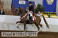 11r12_6111 proof