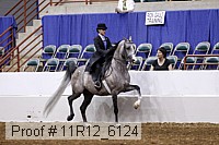 11r12_6124 proof
