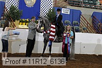11r12_6136 proof