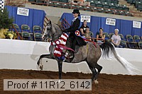 11r12_6142 proof