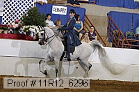 11r12_6296 proof