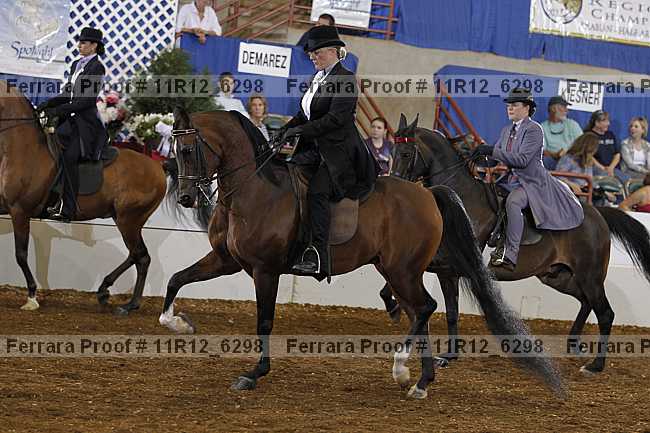 Proof 11r12_6298