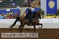 11r12_6302 proof