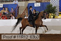 11r12_6308 proof