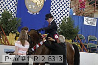 11r12_6313 proof
