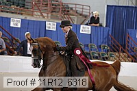11r12_6318 proof