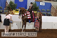 11r12_6323 proof