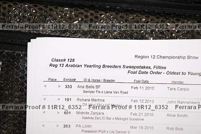 Proof 11r12_6352