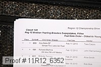 11r12_6352 proof