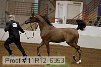 11r12_6353 proof