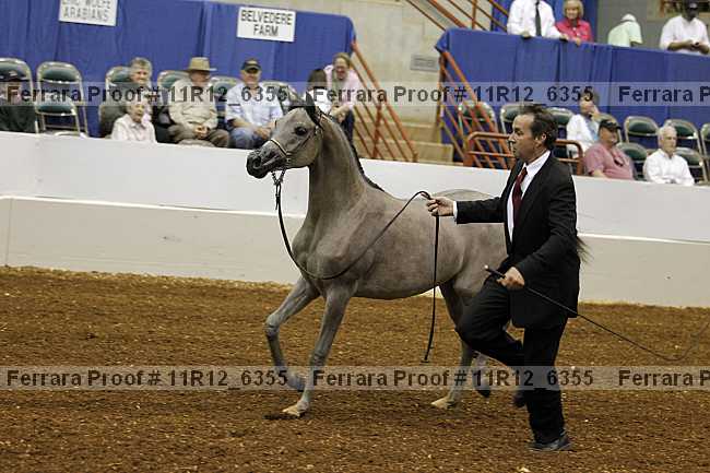 Proof 11r12_6355