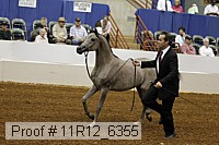 11r12_6355 proof