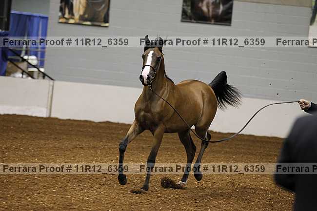 Proof 11r12_6359