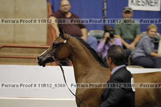 Proof 11r12_6360