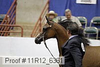 11r12_6361 proof