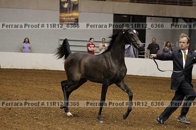 Proof 11r12_6366