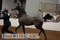 11r12_6367 proof