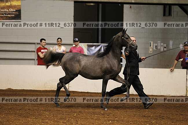 Proof 11r12_6370