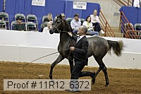 11r12_6372 proof