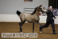 11r12_6374 proof