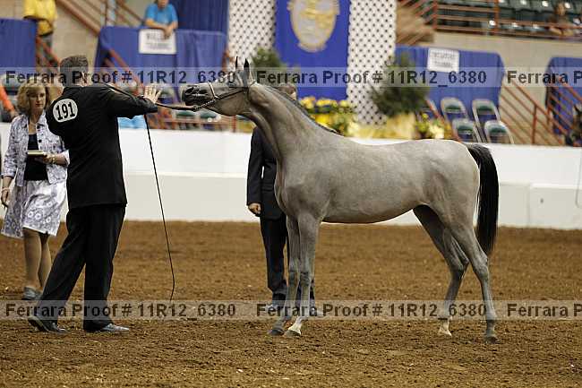 Proof 11r12_6380