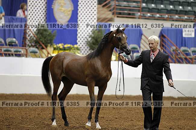 Proof 11r12_6385