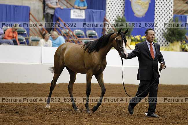 Proof 11r12_6392