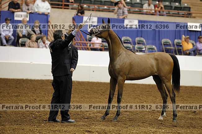 Proof 11r12_6396