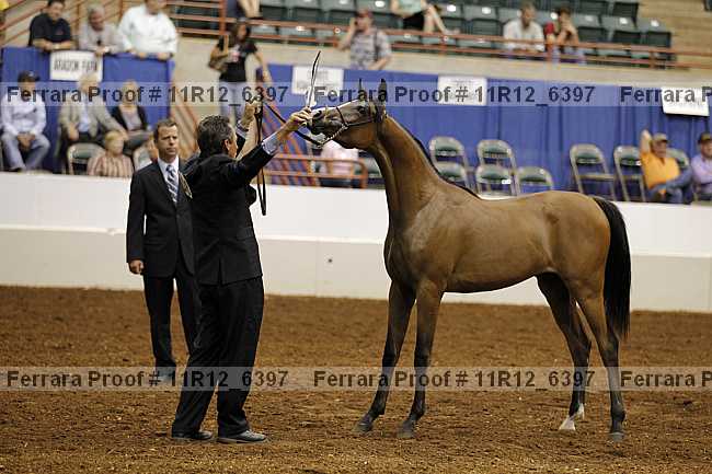 Proof 11r12_6397