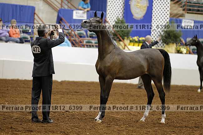 Proof 11r12_6399