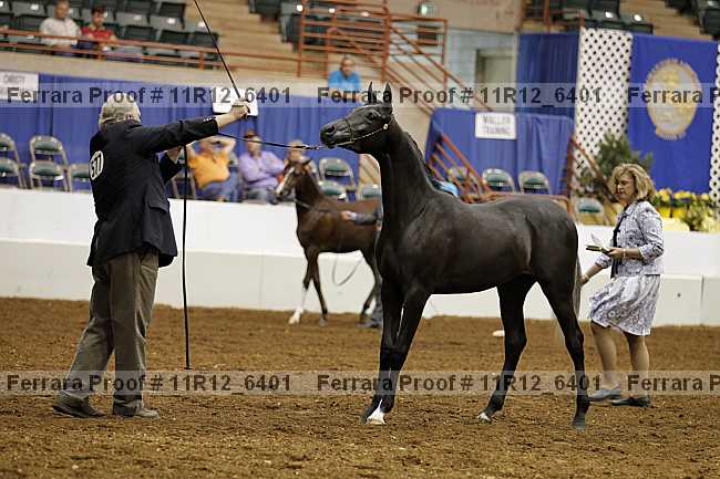 Proof 11r12_6401