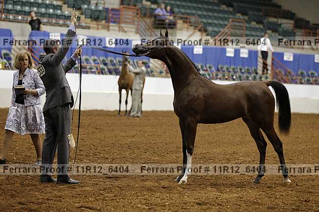 Proof 11r12_6404