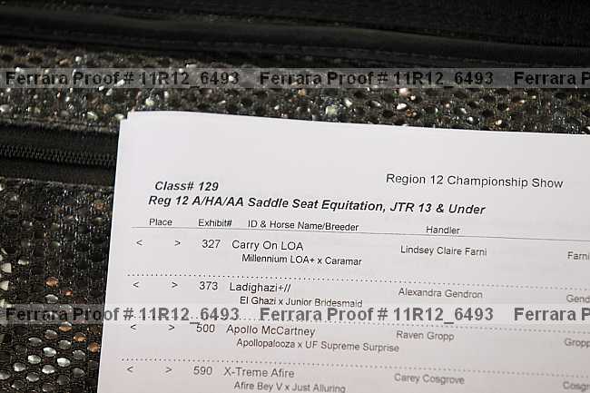 Proof 11r12_6493