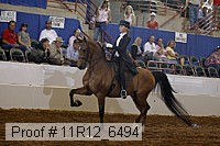 11r12_6494 proof