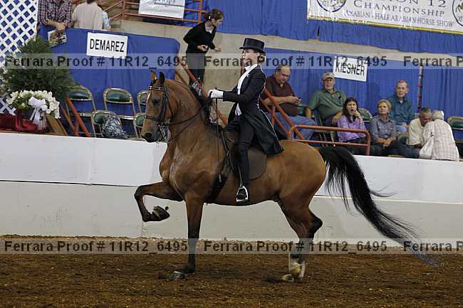 Proof 11r12_6495